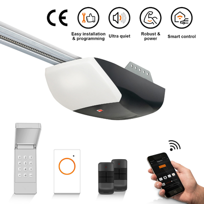 Bộ mở cửa nhà để xe WiFi thông minh 24VDC 1200N 260W